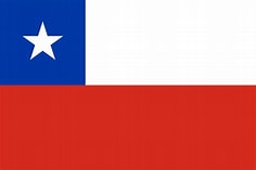 Partner customer _copy